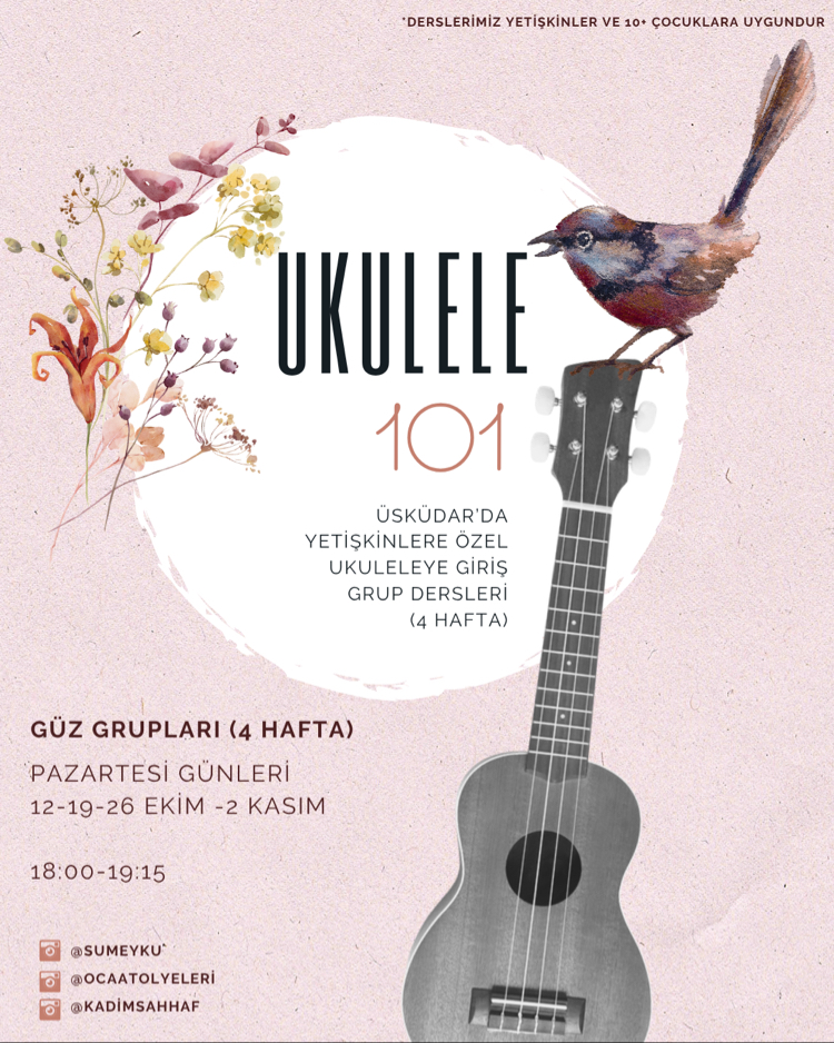 UKULELE 101