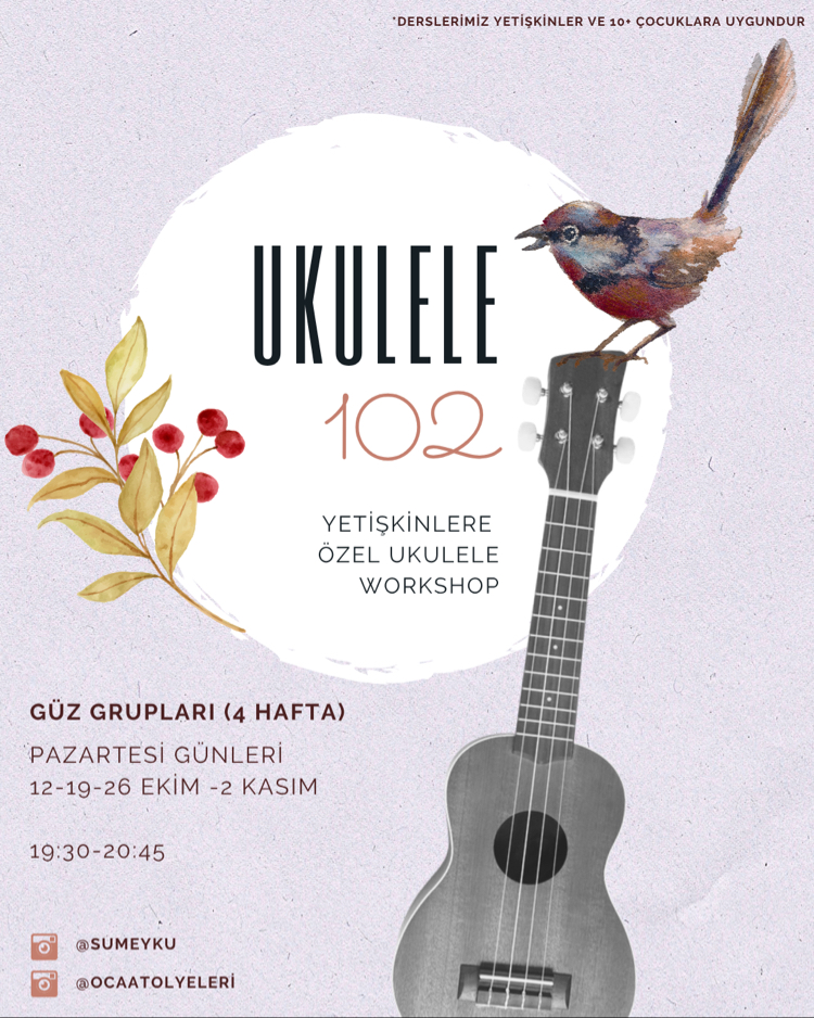 UKULELE 102