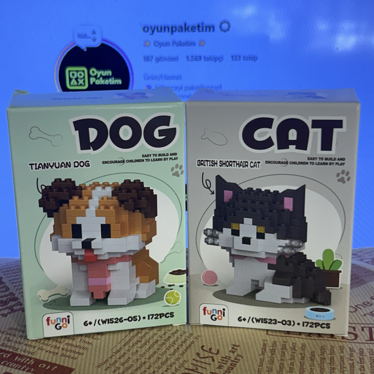 Kedi ve Köpek İkilisi