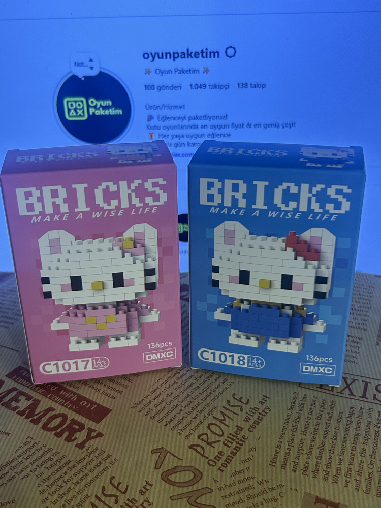 Hello Kitty 2’li Bricks