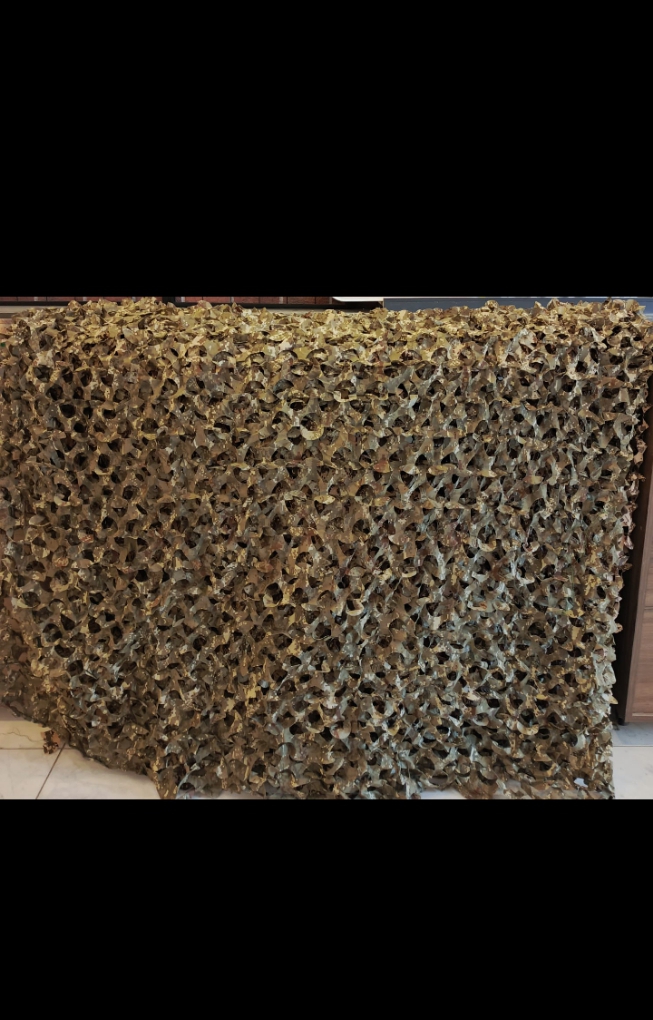 Gizlenme Ağı
