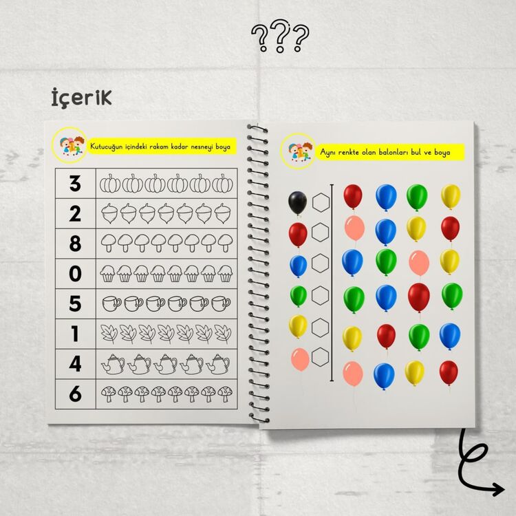 ÖZEL EĞİTİMDE RAKAM ÖĞRETİMİ 