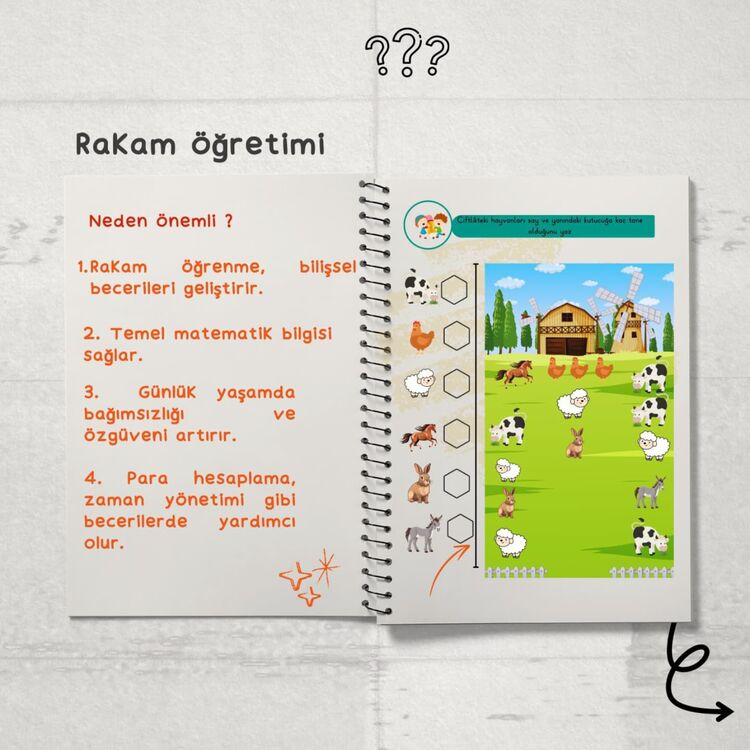 ÖZEL EĞİTİMDE RAKAM ÖĞRETİMİ 
