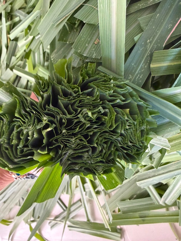 LİMON OTU 20 GR (Lemon Grass)