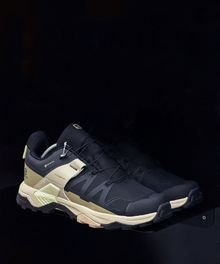 SALOMON X ULTRA 4 GTX