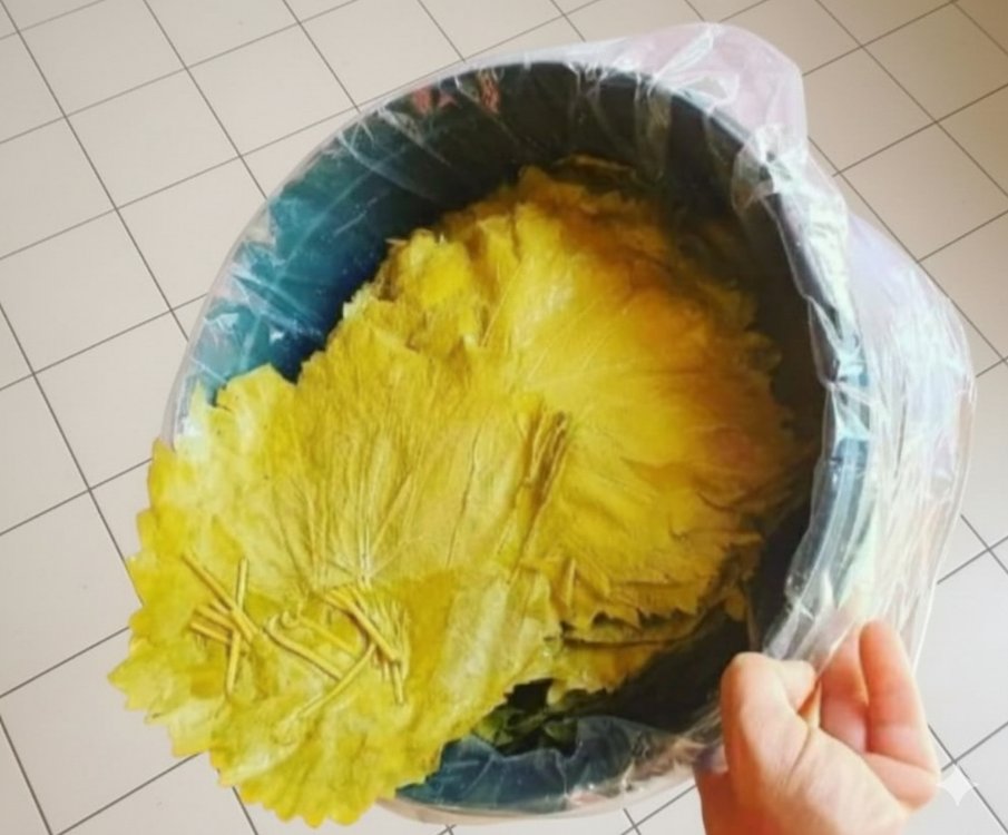 Salamura Yaprak Kova (Net 10 kg) 