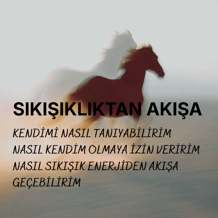 KENDİNİ TANIMA REHBERİ