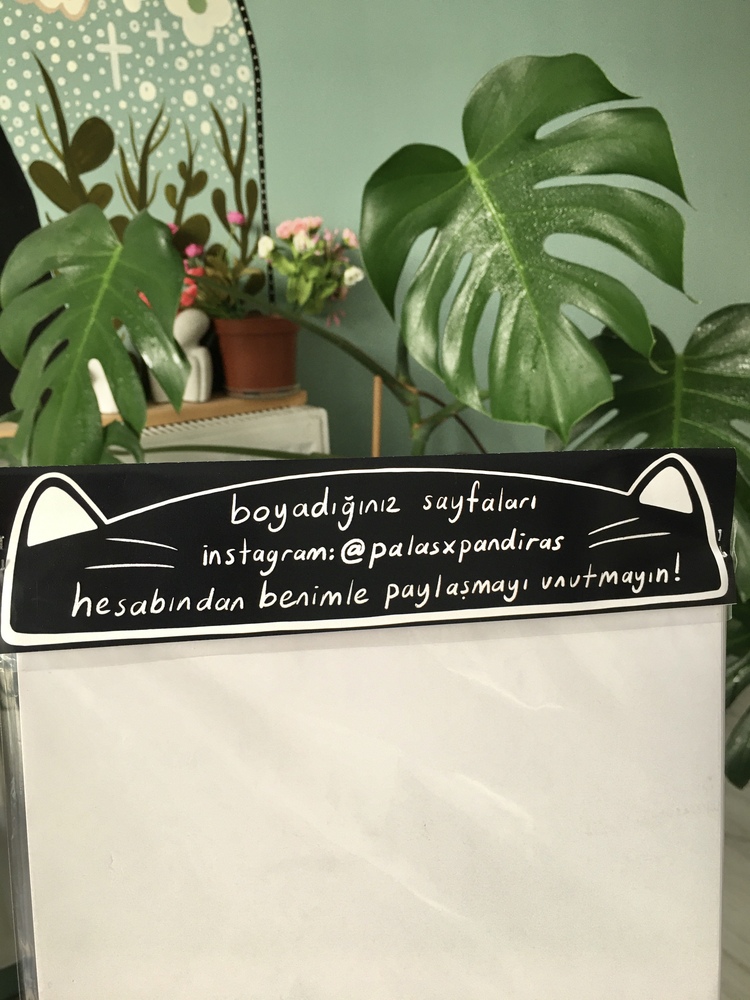 Kedi Boyama Seti