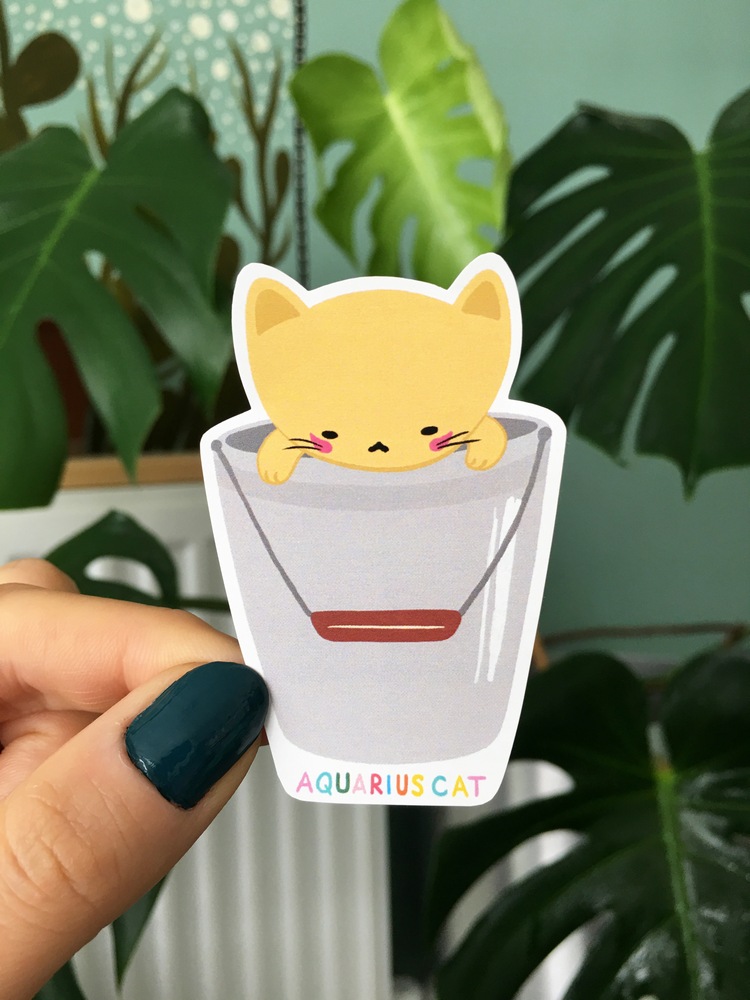 Kova Burcu Kedi Sticker
