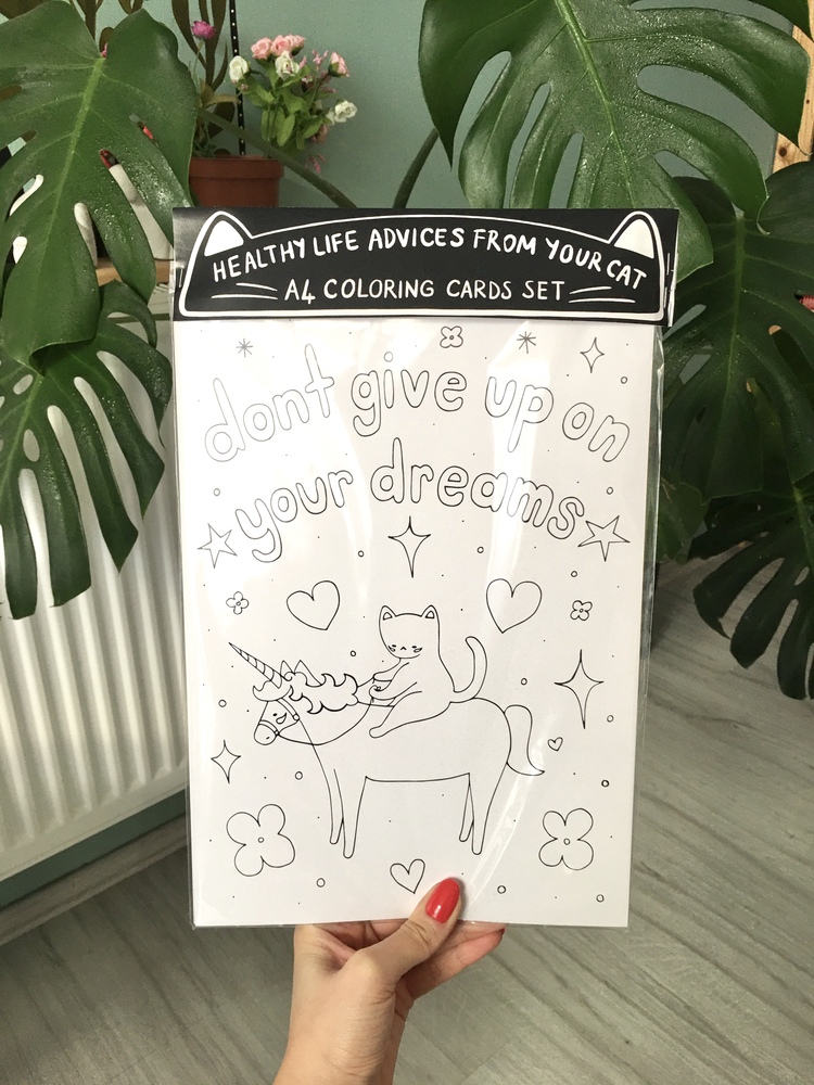 Kedi Boyama Seti