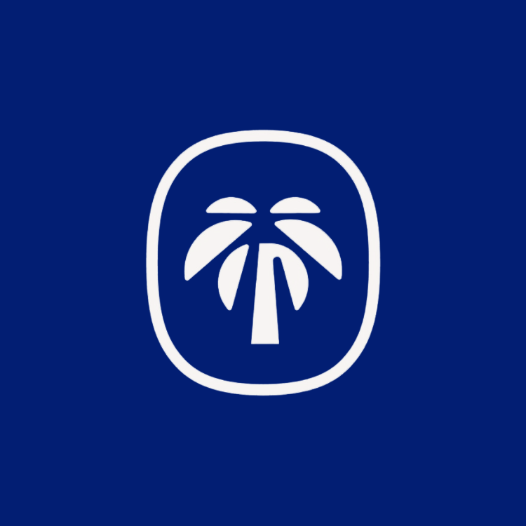 Palm Digital - Profesyonel Paket
