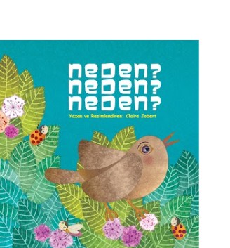 Neden Neden Neden?