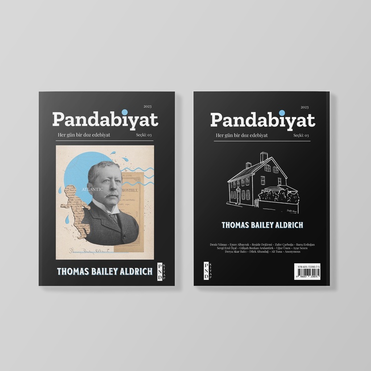 Pandabiyat Dergi Tüm Sayılar - 5 Sayı Matbu + 2 Sayı Dijital (Hediye)