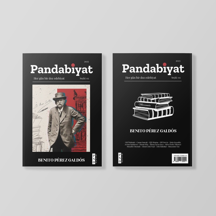 Pandabiyat Dergi Tüm Sayılar - 5 Sayı Matbu + 2 Sayı Dijital (Hediye)