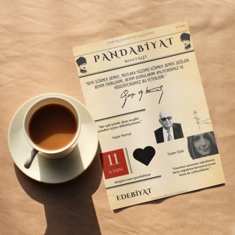 Pandabiyat Nostalji Aylık Dijital Edebiyat Gazetesi–Sayı 11