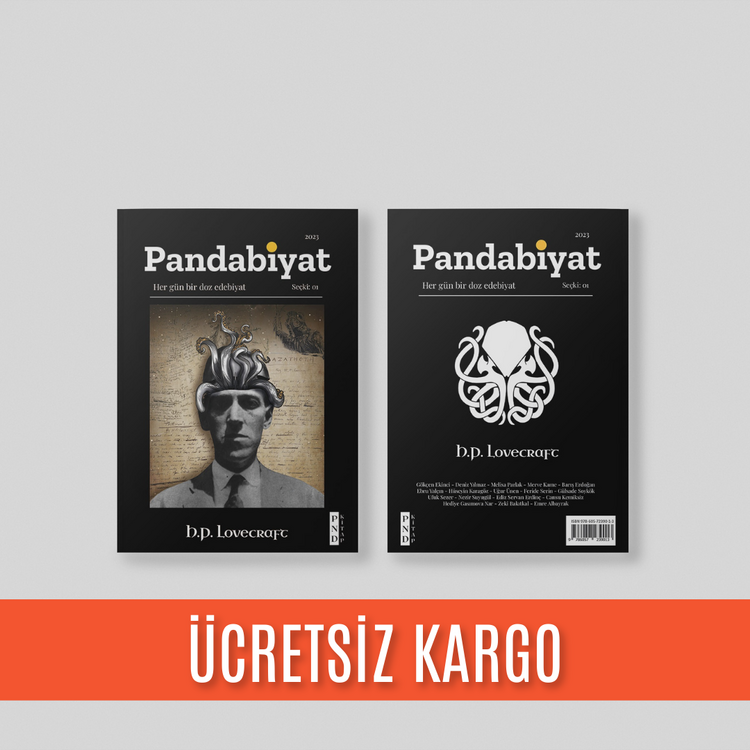 Pandabiyat Dergi Tüm Sayılar - 5 Sayı Matbu + 2 Sayı Dijital (Hediye)