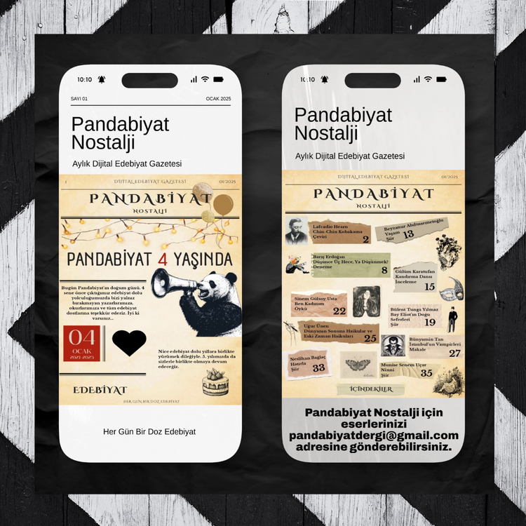 Pandabiyat Nostalji Aylık Dijital Edebiyat Gazetesi – Yıllık Abonelik (12 Sayı)