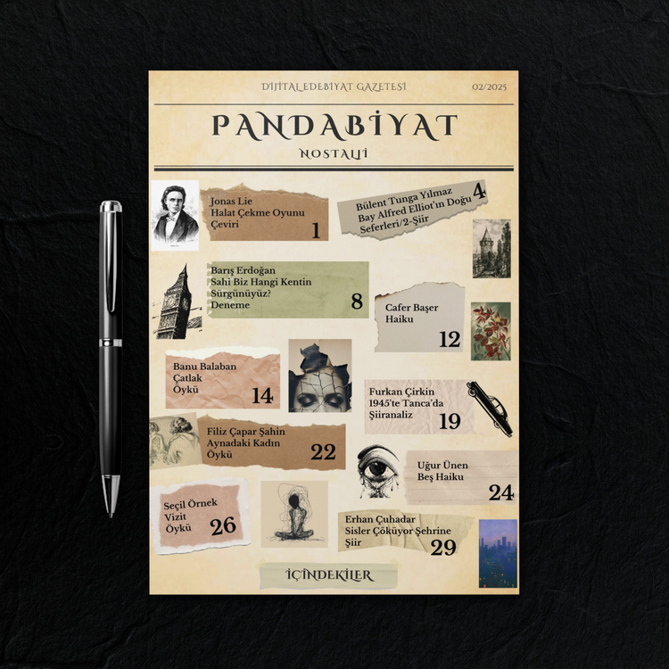 Pandabiyat Nostalji Aylık Dijital Edebiyat Gazetesi – Sayı 02