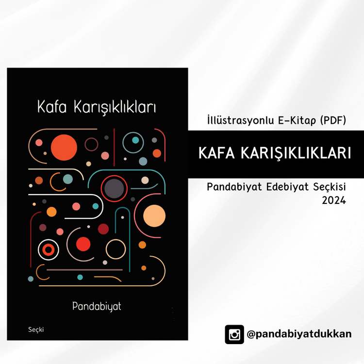 Kafa Karışıklıkları-Pandabiyat Edebiyat Seçkisi 2024 E-Kitap