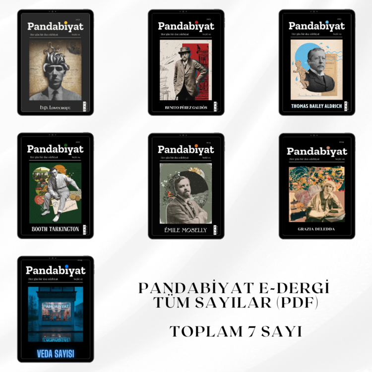 Pandabiyat Dergi Tüm Sayılar (7 Dergi-Set)