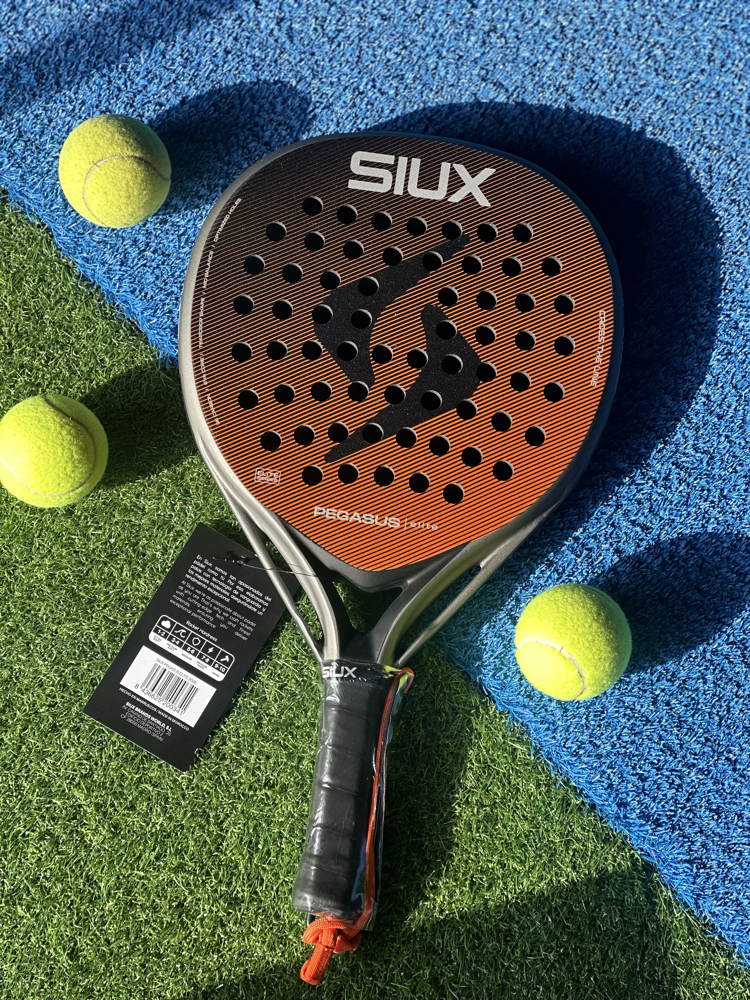 SIUX PEGASUS ELITE 4 2026