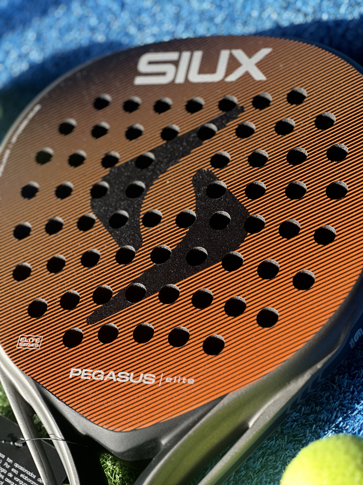 SIUX PEGASUS ELITE 4 2026