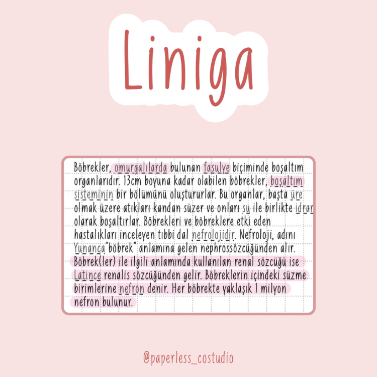 Liniga Yazı Fontu