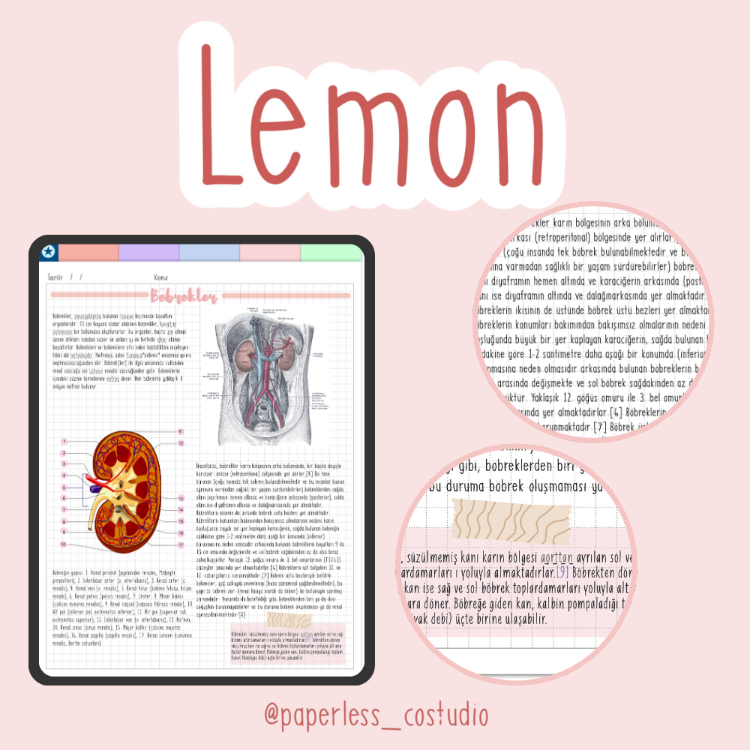 Lemon Yazı Fontu