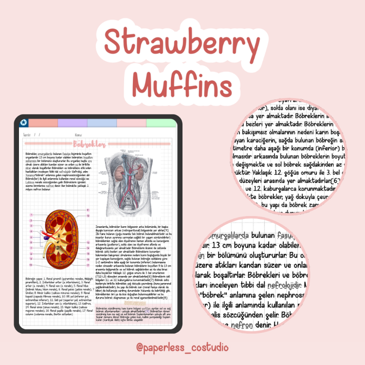 Strawberry Muffins Yazı Fontu