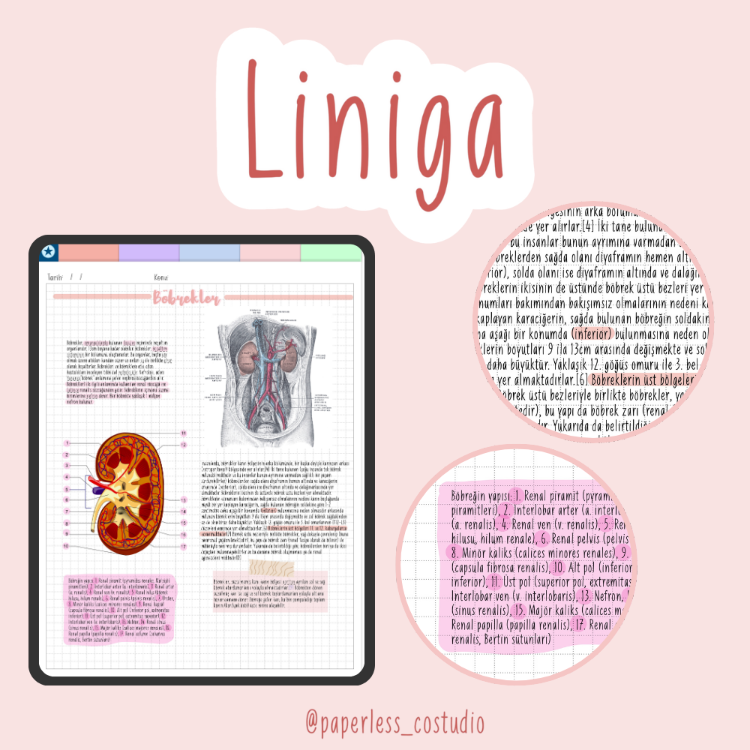 Liniga Yazı Fontu