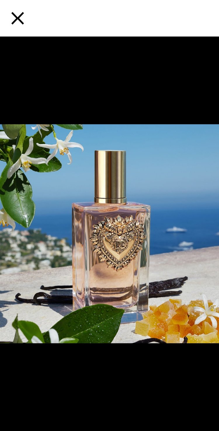 Dolce Gabbana Devotion