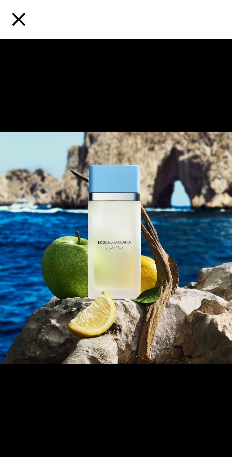 Dolce Gabbana Light Blue For Women
