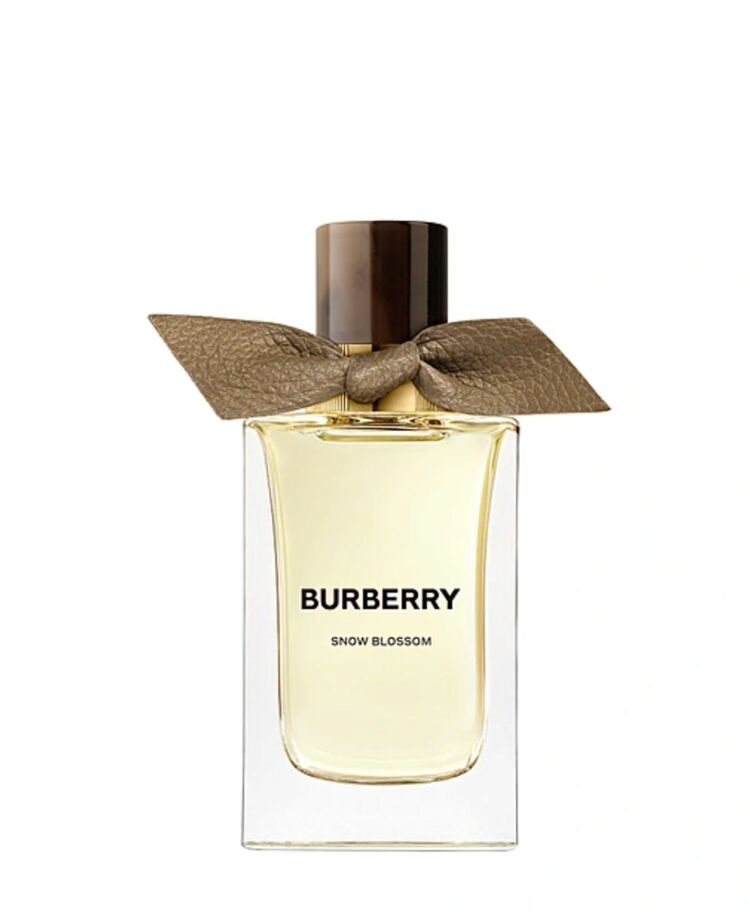 Burberry

Signatures Collection EDP Snow Blossom 100 ml

