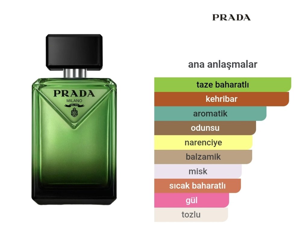 Prada Paradigme Edp Erkek Parfümü 100ml