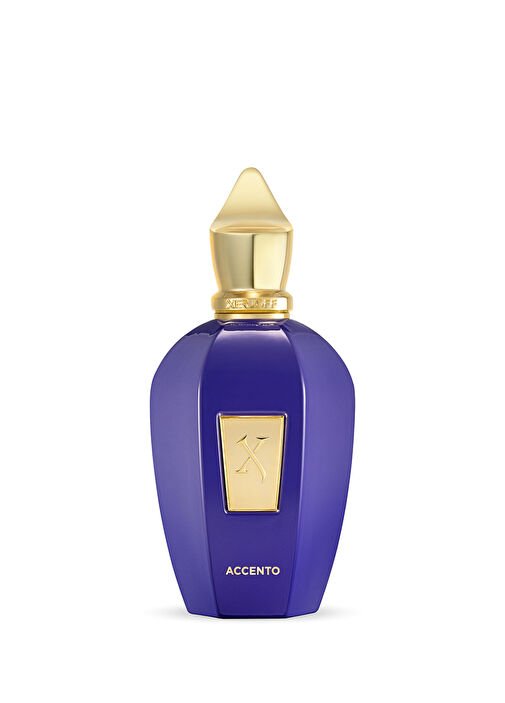 Xerjoff Accento Edp Unisex 100ml