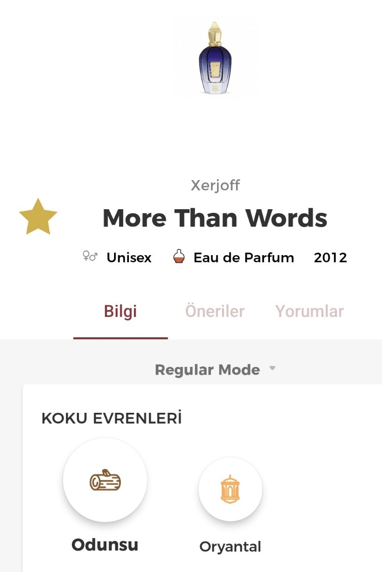Xerjoff More Than Words Edp 100ml Unisex 