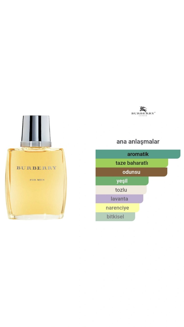 Burberry Classic For Men Edt Erkek Parfümü 100ml