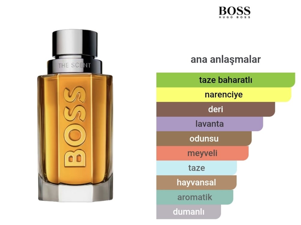 Hugo Boss The Scent Erkek Parfümü 100ml
