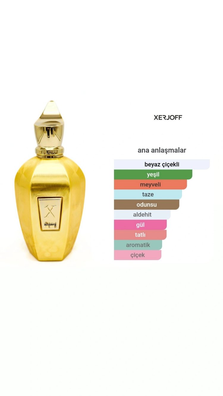 Xerjoff Accento Overdose Edp Unisex 100ml