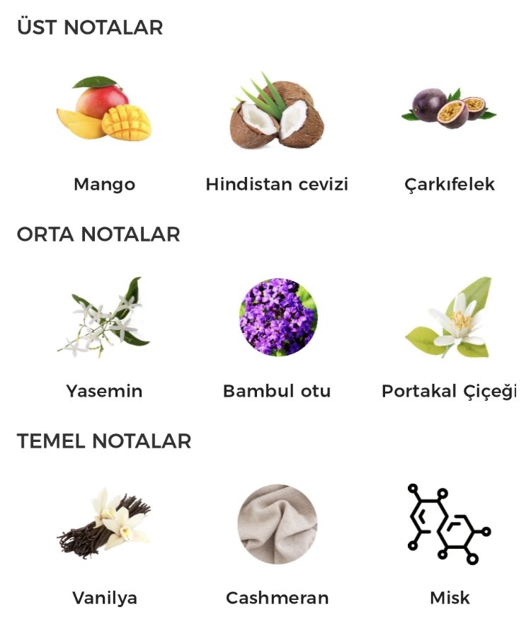 Lattafa Yara Tous Edp Kadın Parfümü 100ml