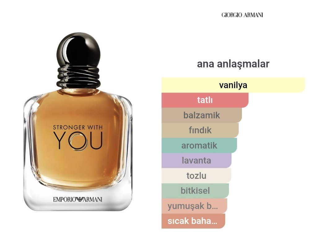 Stronger With You Erkek Parfümü Edt 100ml 
