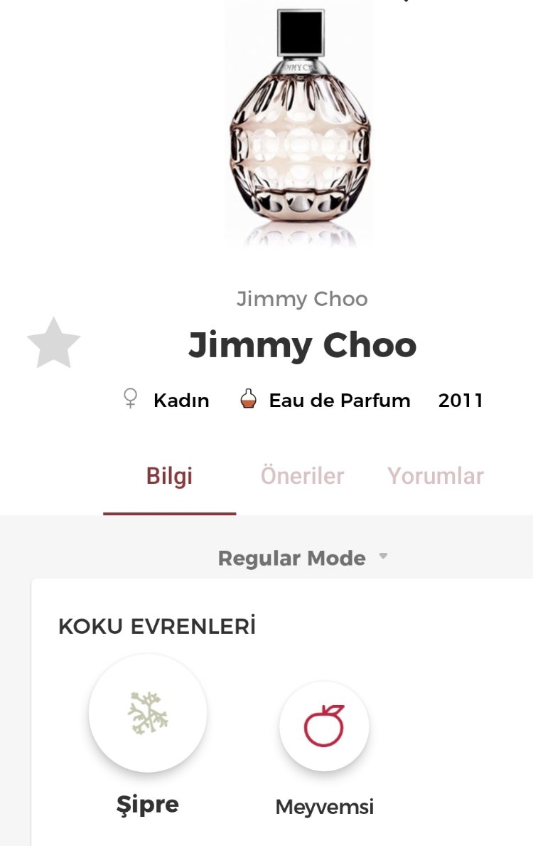 Jimmy Choo EDP Kadın Parfüm 100 ml