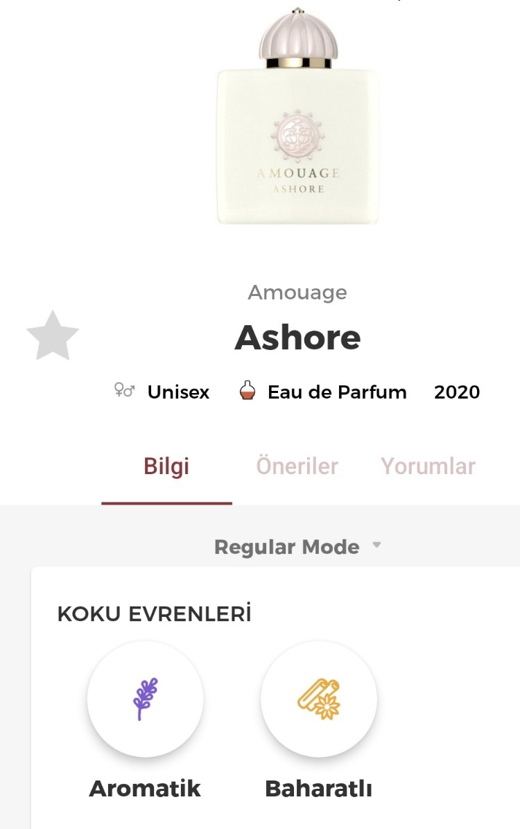 Amouage Ashore Edp Unisex Parfüm 100ml 