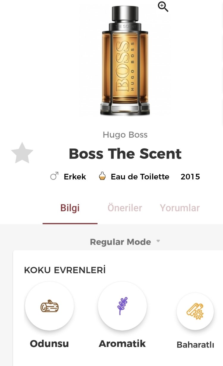 Hugo Boss The Scent Erkek Parfümü 100ml