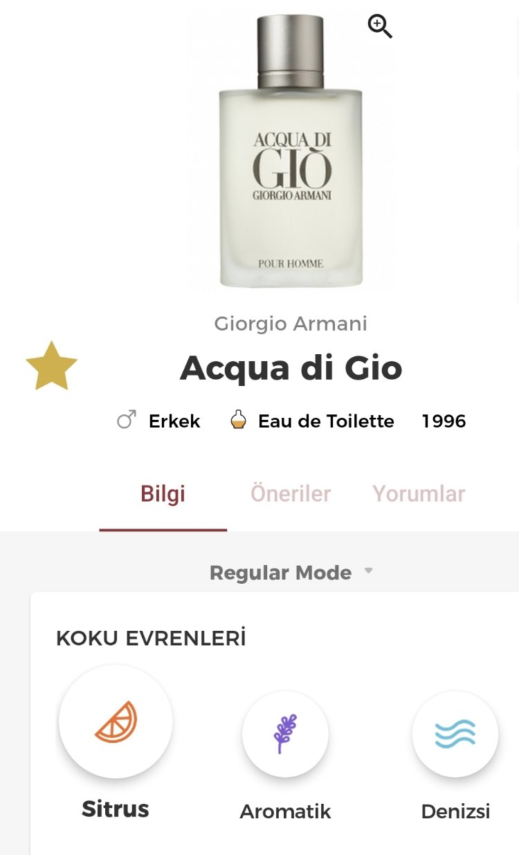 Giorgio Armani Acqua di Gio Pour Homme Edt Erkek Parfümü 100ml 