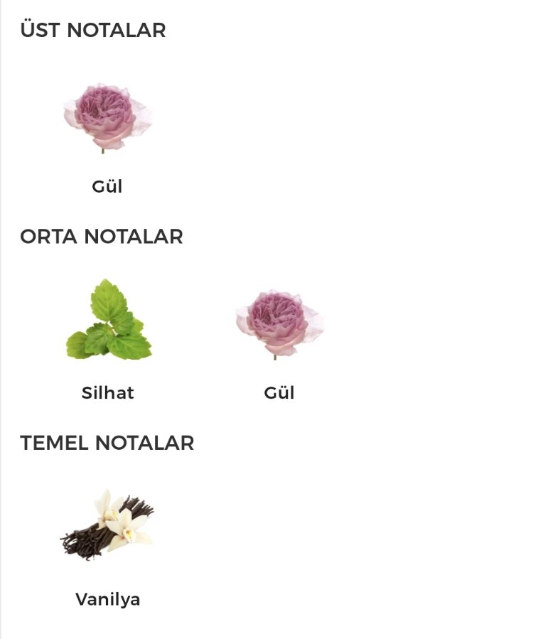 Cholé Absolu Edp Kadın Parfümü 75ml
