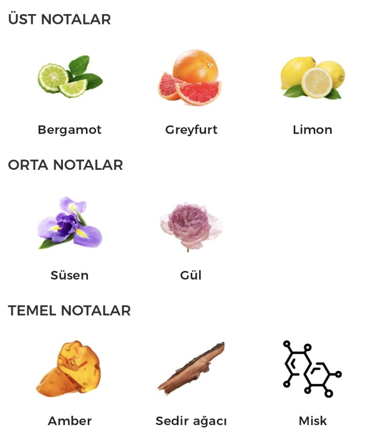 Casamorati Mefisto Edp Erkek Parfümü 100ml 