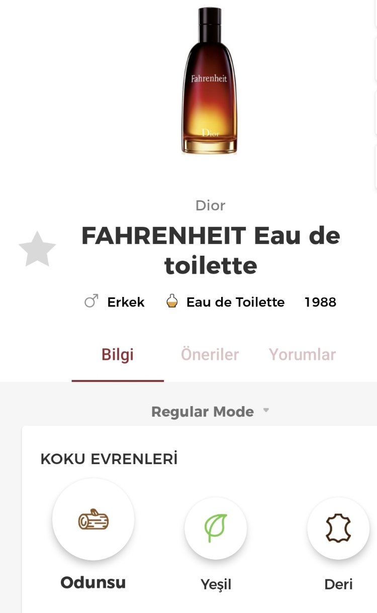 Dior Fahrenheit Erkek Parfümü Edt 100ml