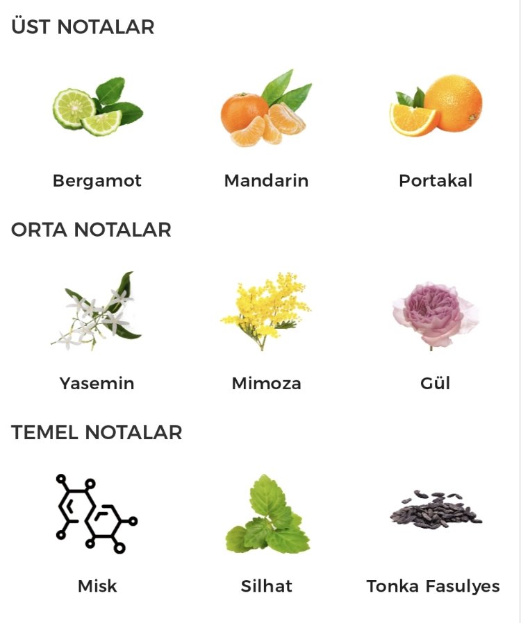 Chanel Coco Mademoiselle Edp Kadın Parfümü 100ml