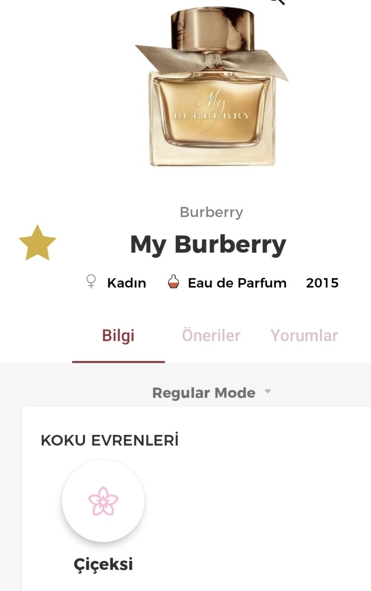 Burberry My Burberry Edp Kadın Parfümü 90ml
